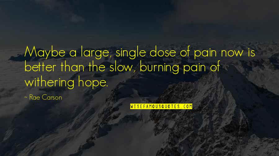 Single Is Better Quotes By Rae Carson: Maybe a large, single dose of pain now