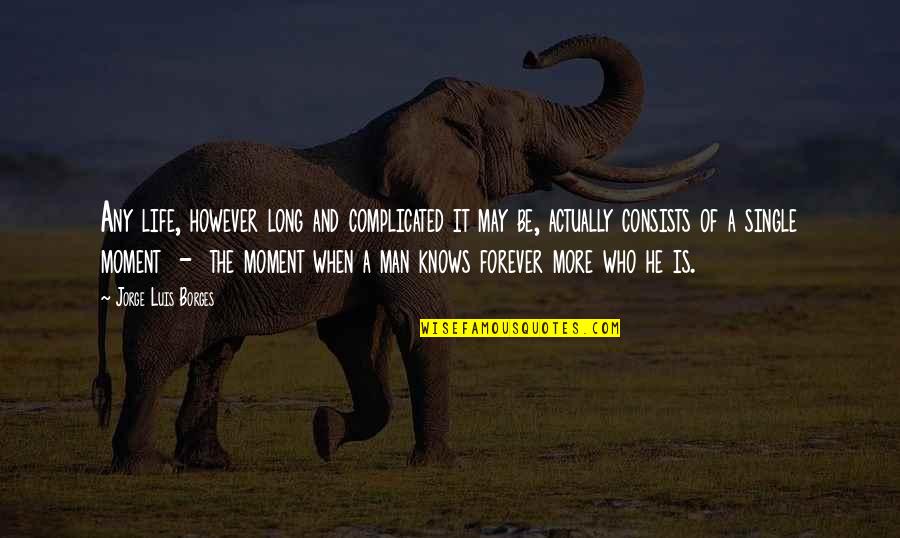 Single Life Forever Quotes By Jorge Luis Borges: Any life, however long and complicated it may