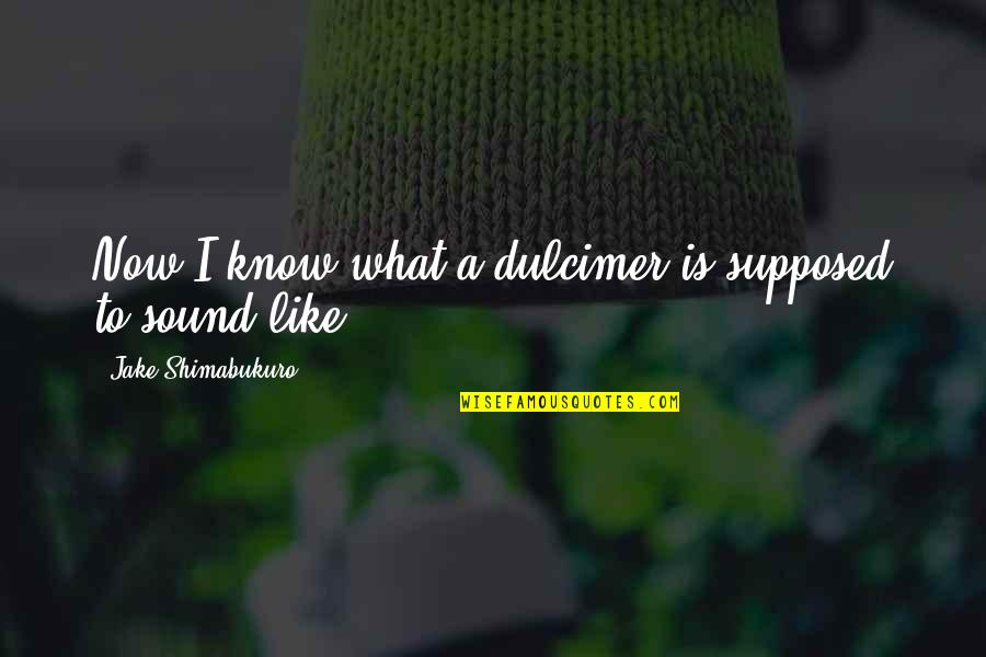 Single Life Is The Best Pics Quotes By Jake Shimabukuro: Now I know what a dulcimer is supposed Single Life Is The Best Pics Quotes By Jake Shimabukuro: Now I know what a dulcimer is supposed