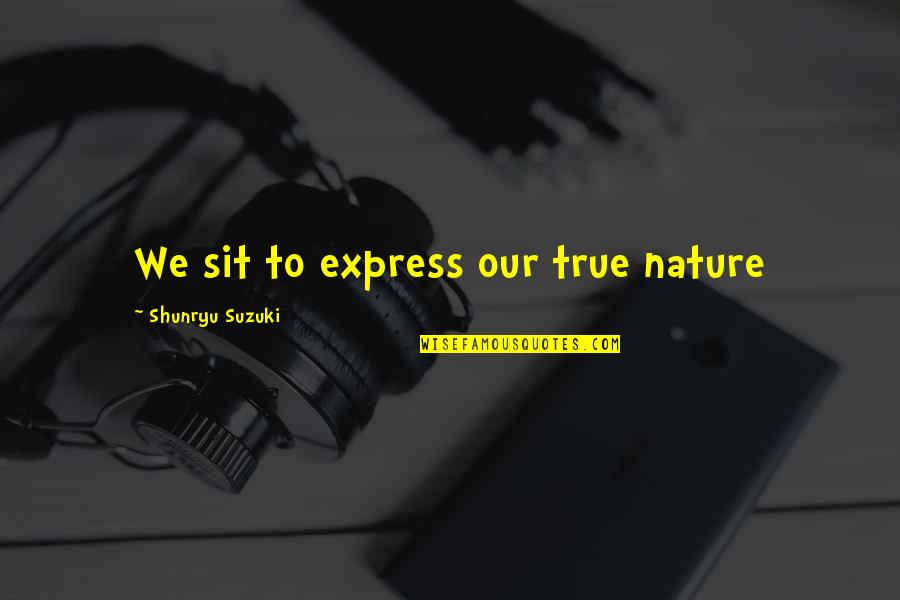 Single Line Christmas Quotes By Shunryu Suzuki: We sit to express our true nature