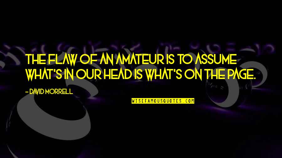 Single Mothers Being Strong Quotes By David Morrell: The flaw of an amateur is to assume