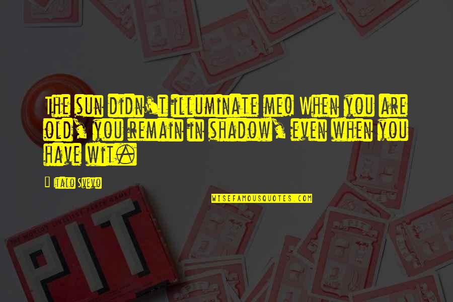 Single Parent Homes Quotes By Italo Svevo: The sun didn't illuminate me! When you are Single Parent Homes Quotes By Italo Svevo: The sun didn't illuminate me! When you are