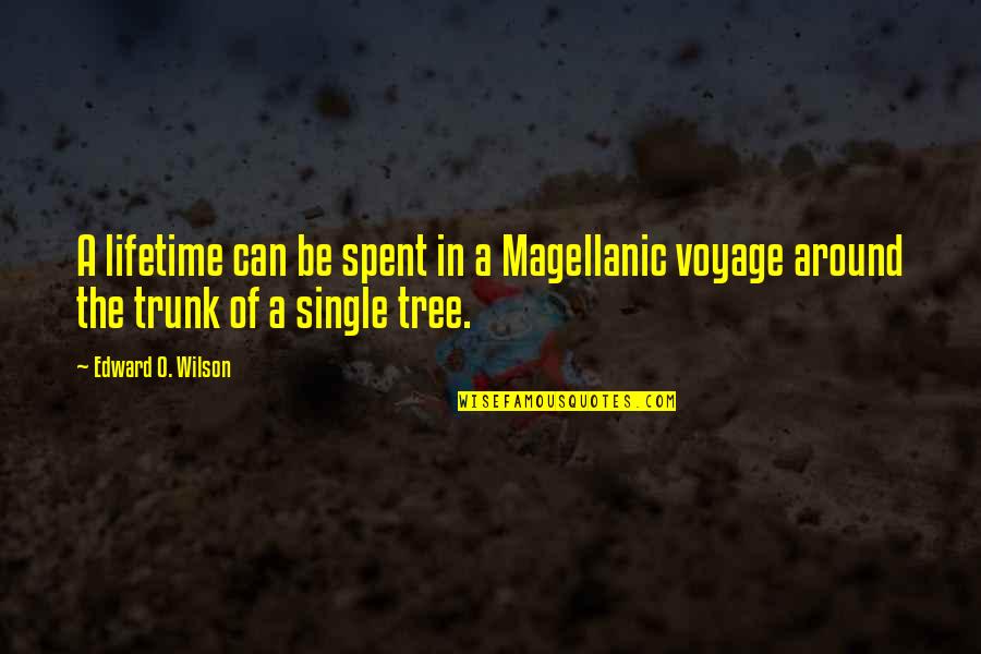 Single Tree Quotes By Edward O. Wilson: A lifetime can be spent in a Magellanic