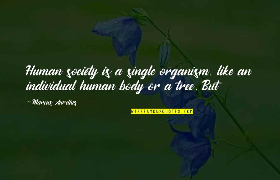 Single Tree Quotes By Marcus Aurelius: Human society is a single organism, like an