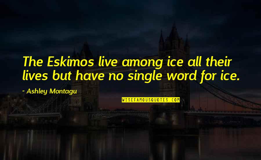 Single Word Quotes By Ashley Montagu: The Eskimos live among ice all their lives