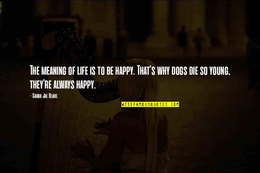 Singler Air Quotes By Sarah Jae Blake: The meaning of life is to be happy. Singler Air Quotes By Sarah Jae Blake: The meaning of life is to be happy.
