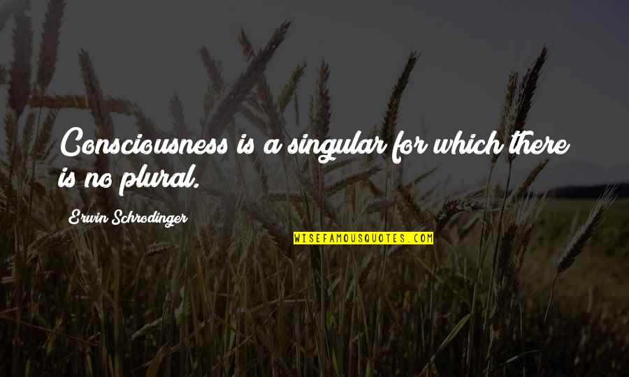 Singular And Plural Quotes By Erwin Schrodinger: Consciousness is a singular for which there is