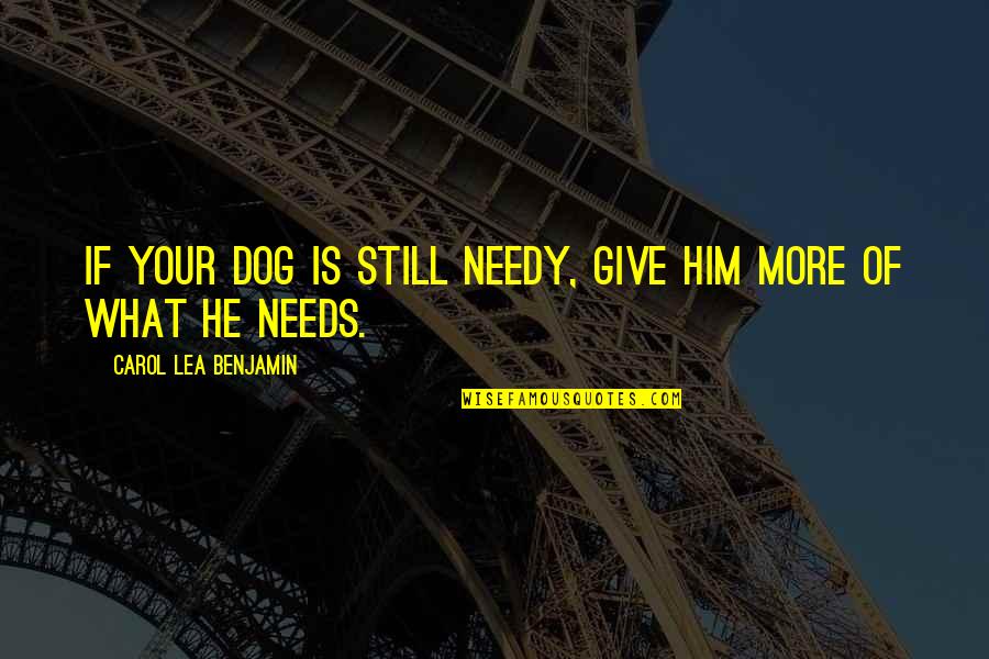 Sinjai Plengpanich Quotes By Carol Lea Benjamin: If your dog is still needy, give him Sinjai Plengpanich Quotes By Carol Lea Benjamin: If your dog is still needy, give him
