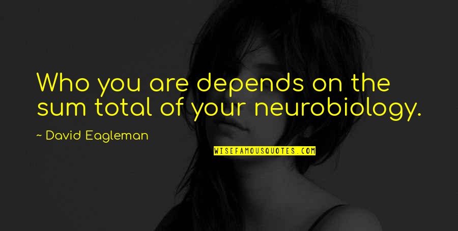 Sinkers Molds Quotes By David Eagleman: Who you are depends on the sum total Sinkers Molds Quotes By David Eagleman: Who you are depends on the sum total