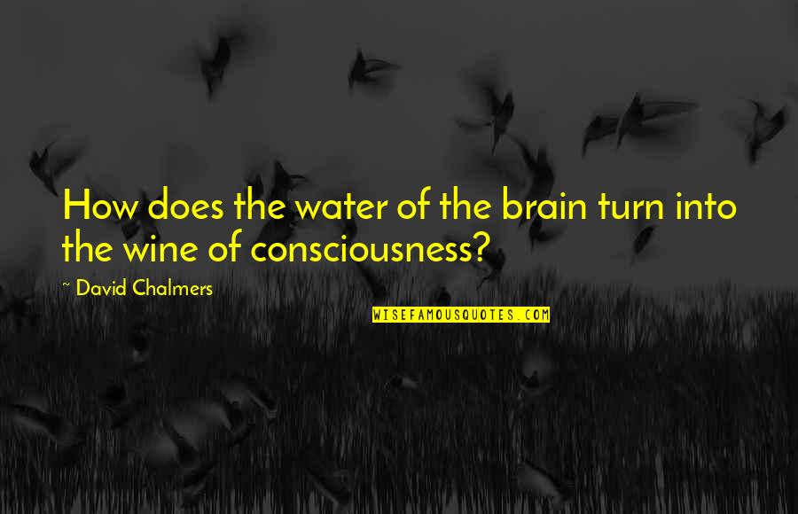 Sinkler Shamamian Quotes By David Chalmers: How does the water of the brain turn Sinkler Shamamian Quotes By David Chalmers: How does the water of the brain turn