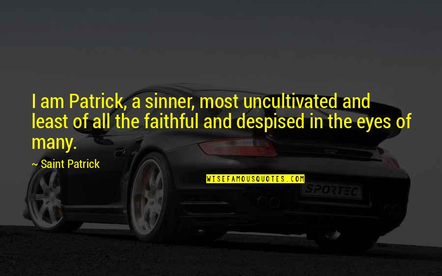 Sinner Saint Quotes By Saint Patrick: I am Patrick, a sinner, most uncultivated and
