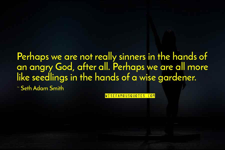 Sinners In The Hands Of An Angry God Quotes By Seth Adam Smith: Perhaps we are not really sinners in the