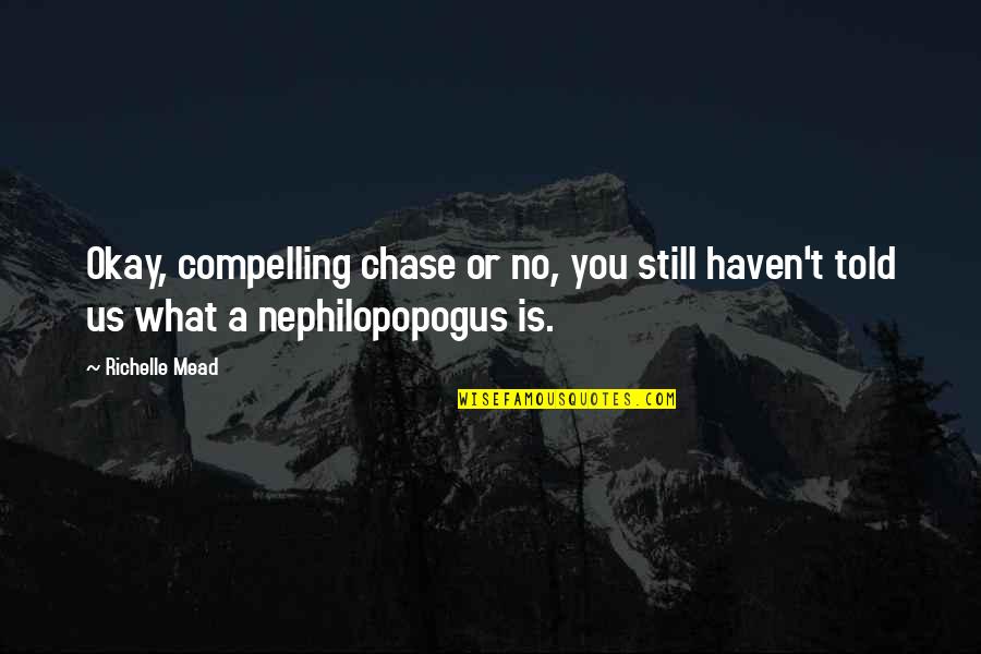 Sinnlichkeit Quotes By Richelle Mead: Okay, compelling chase or no, you still haven't