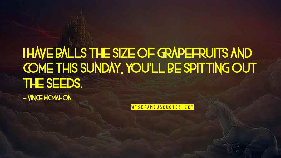 Sinope Quotes By Vince McMahon: I have balls the size of grapefruits and