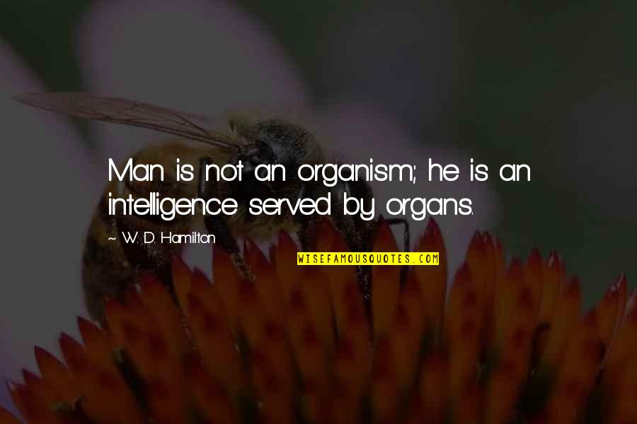 Sinotharwa Quotes By W. D. Hamilton: Man is not an organism; he is an Sinotharwa Quotes By W. D. Hamilton: Man is not an organism; he is an