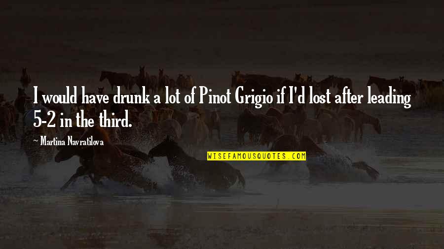 Sins In Islam Quotes By Martina Navratilova: I would have drunk a lot of Pinot Sins In Islam Quotes By Martina Navratilova: I would have drunk a lot of Pinot