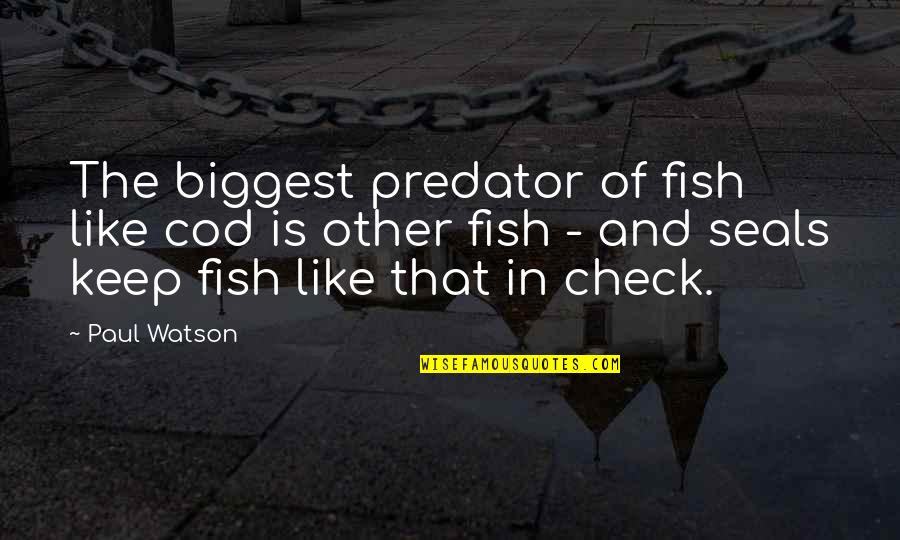 Sins Of The Father Quotes By Paul Watson: The biggest predator of fish like cod is