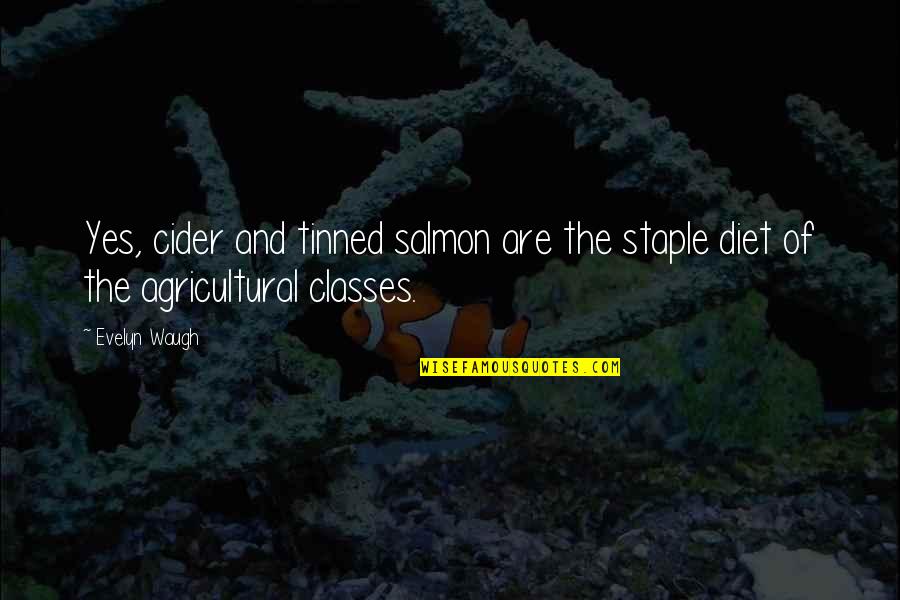 Sintama Quotes By Evelyn Waugh: Yes, cider and tinned salmon are the staple
