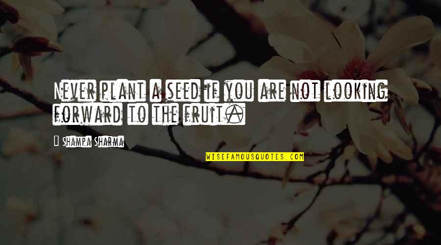 Sintama Quotes By Shampa Sharma: Never plant a seed if you are not Sintama Quotes By Shampa Sharma: Never plant a seed if you are not