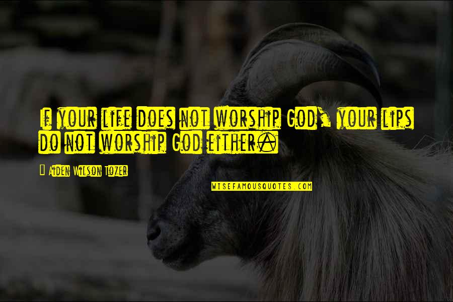 Sinus Rhythm Quotes By Aiden Wilson Tozer: If your life does not worship God, your