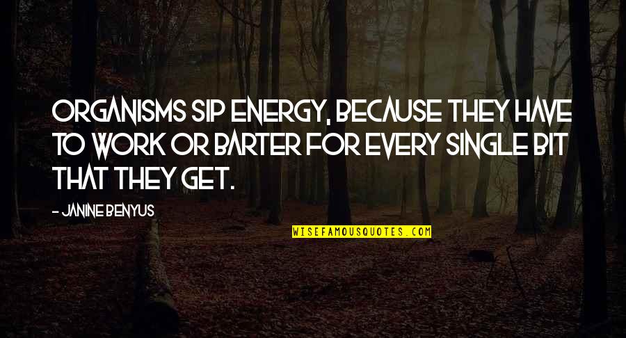 Sip Quotes By Janine Benyus: Organisms sip energy, because they have to work