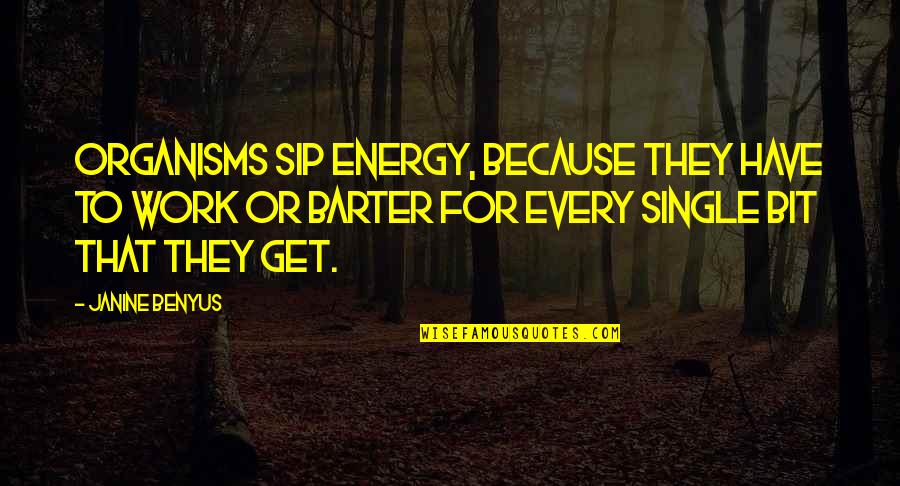Sip Sip Quotes By Janine Benyus: Organisms sip energy, because they have to work