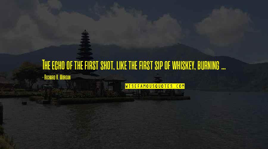 Sip Sip Quotes By Richard K. Morgan: The echo of the first shot, like the