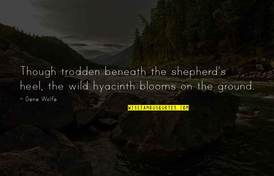 Sir Frederick Banting Quotes By Gene Wolfe: Though trodden beneath the shepherd's heel, the wild