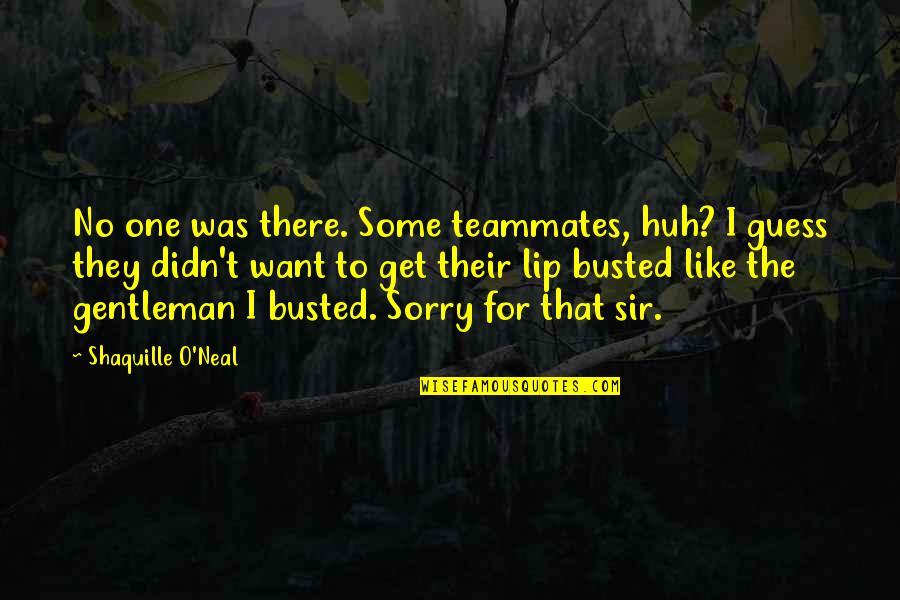 Sir No Sir Quotes By Shaquille O'Neal: No one was there. Some teammates, huh? I