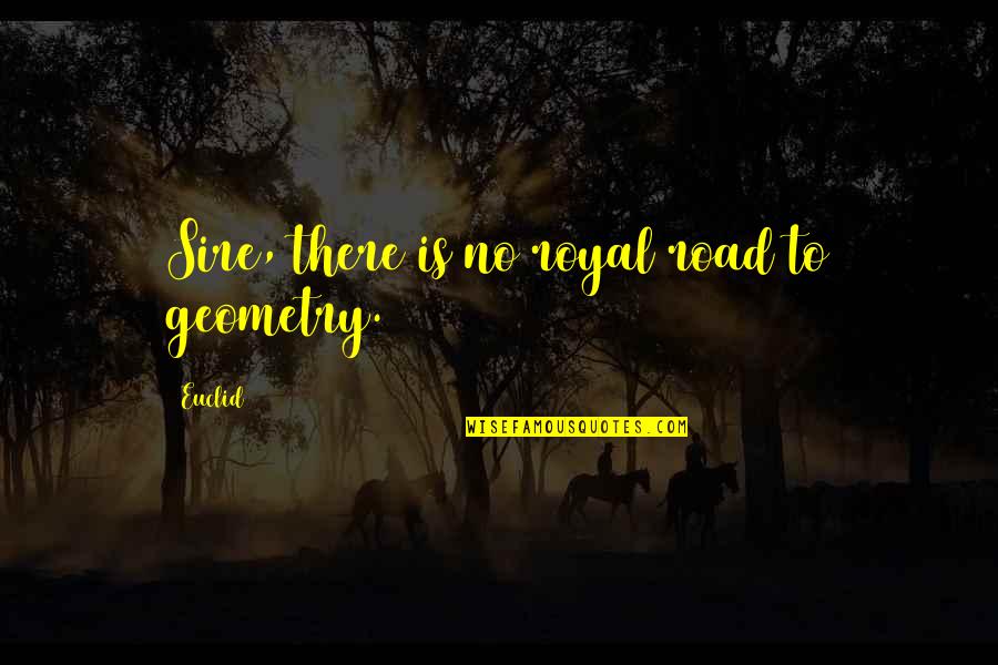 Sire Quotes By Euclid: Sire, there is no royal road to geometry.