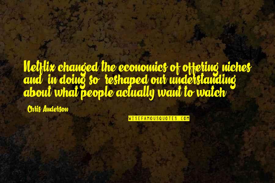 Sireci Construction Quotes By Chris Anderson: Netflix changed the economics of offering niches and,