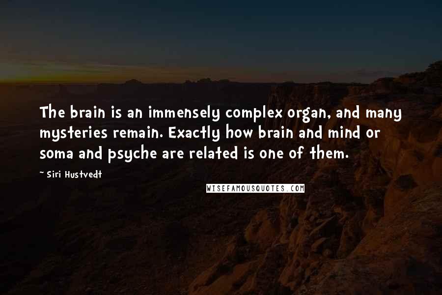 Siri Hustvedt quotes: The brain is an immensely complex organ, and many mysteries remain. Exactly how brain and mind or soma and psyche are related is one of them.