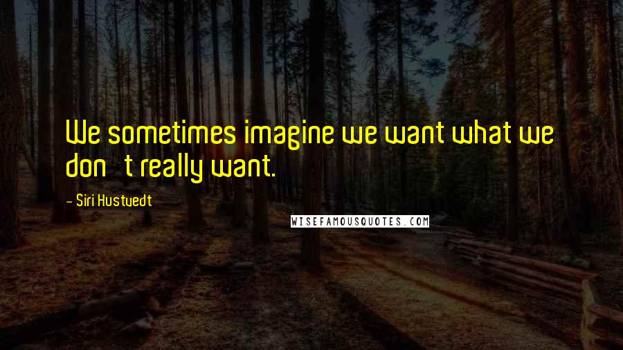 Siri Hustvedt quotes: We sometimes imagine we want what we don't really want.