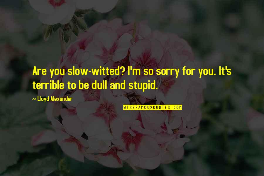 Sirignano Wine Quotes By Lloyd Alexander: Are you slow-witted? I'm so sorry for you.