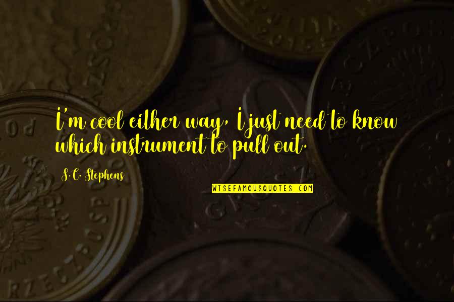 Siripong Phophichai Quotes By S.C. Stephens: I'm cool either way, I just need to