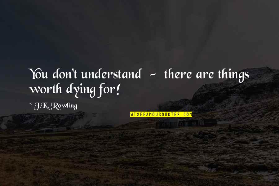 Sirius Quotes By J.K. Rowling: You don't understand - there are things worth Sirius Quotes By J.K. Rowling: You don't understand - there are things worth
