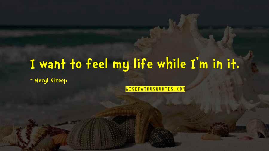 Sirkku Wieland Quotes By Meryl Streep: I want to feel my life while I'm Sirkku Wieland Quotes By Meryl Streep: I want to feel my life while I'm