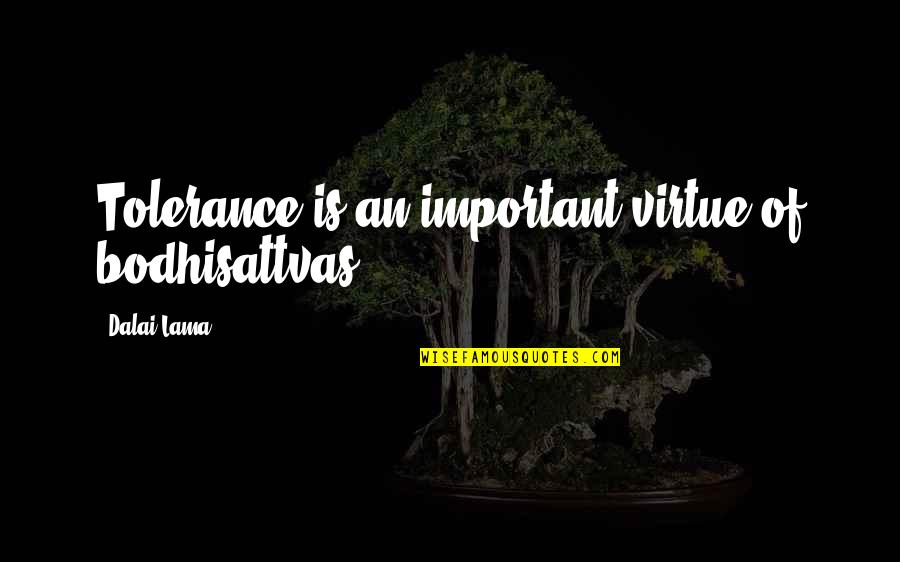 Sirman Pasta Quotes By Dalai Lama: Tolerance is an important virtue of bodhisattvas . Sirman Pasta Quotes By Dalai Lama: Tolerance is an important virtue of bodhisattvas .