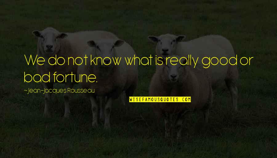 Sirsasana 2 Quotes By Jean-Jacques Rousseau: We do not know what is really good Sirsasana 2 Quotes By Jean-Jacques Rousseau: We do not know what is really good