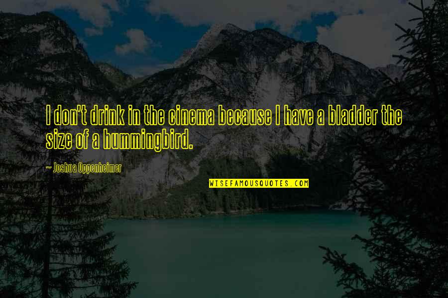 Sirvart Deirmenjian Quotes By Joshua Oppenheimer: I don't drink in the cinema because I