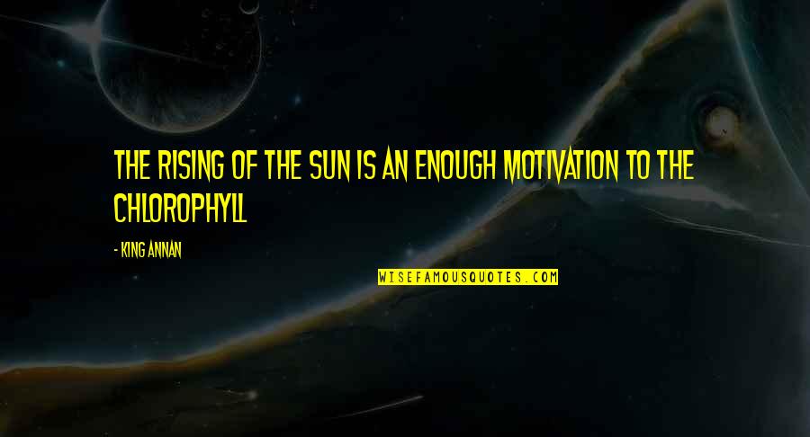 Sirvio Spanish Quotes By King Annan: The rising of the sun is an enough