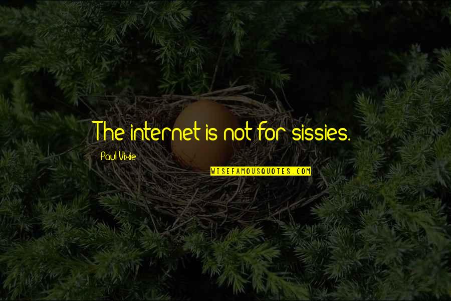 Sissies Quotes By Paul Vixie: The internet is not for sissies.