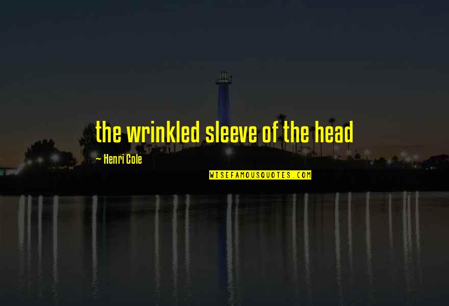 Sistachar Quotes By Henri Cole: the wrinkled sleeve of the head
