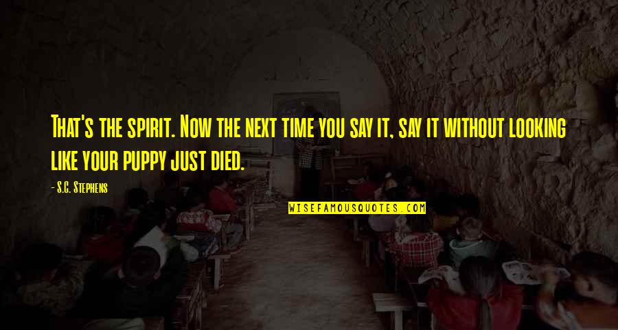 Sistematis Penelitian Quotes By S.C. Stephens: That's the spirit. Now the next time you Sistematis Penelitian Quotes By S.C. Stephens: That's the spirit. Now the next time you