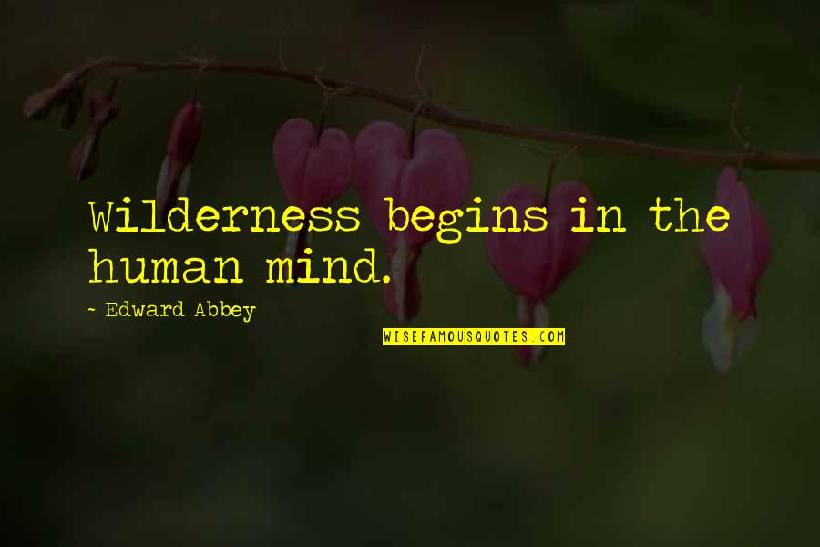 Sister Gift God Quotes By Edward Abbey: Wilderness begins in the human mind.