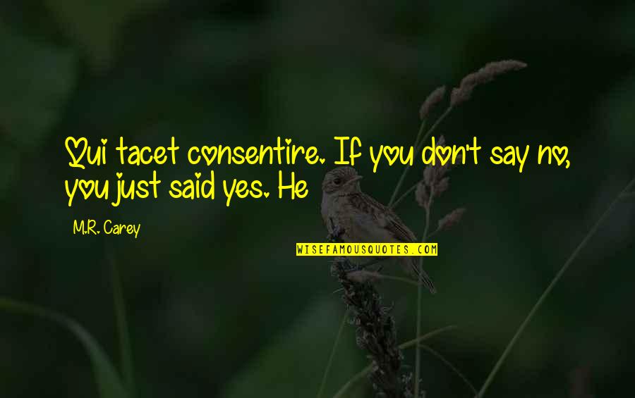 Sister Up And Down Quotes By M.R. Carey: Qui tacet consentire. If you don't say no,