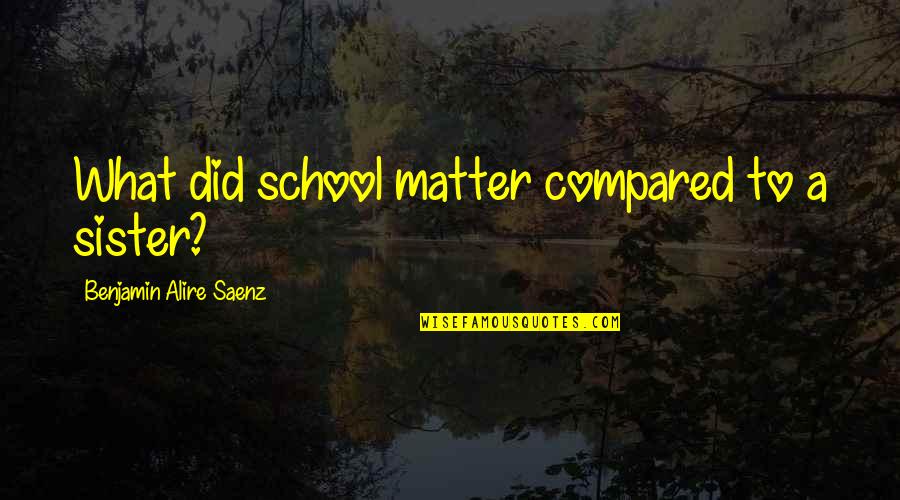 Sister What Quotes By Benjamin Alire Saenz: What did school matter compared to a sister?