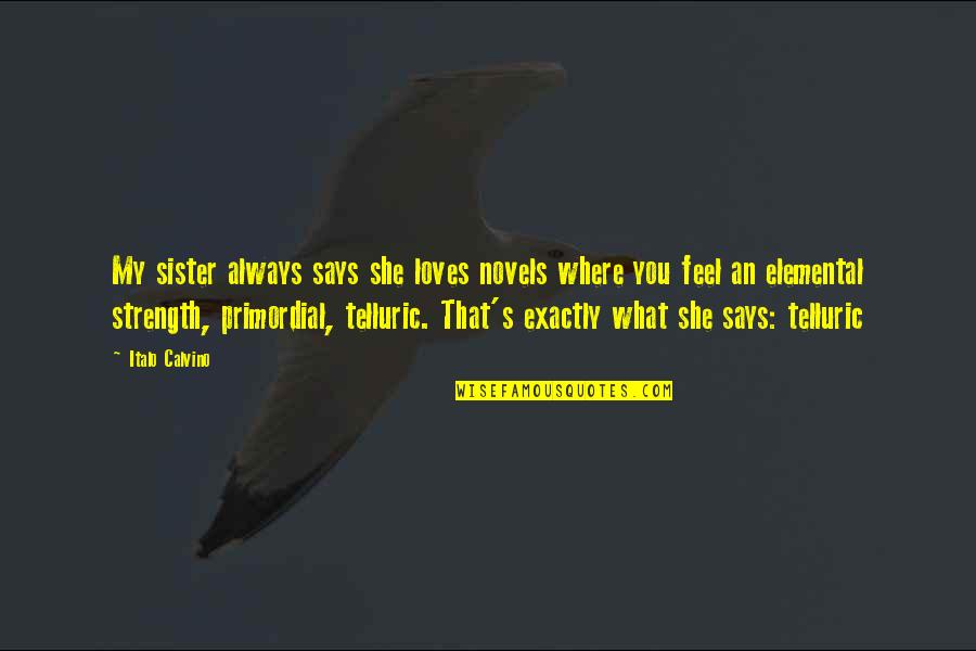 Sister What Quotes By Italo Calvino: My sister always says she loves novels where