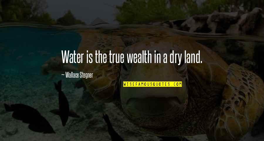 Sisters From Books Quotes By Wallace Stegner: Water is the true wealth in a dry Sisters From Books Quotes By Wallace Stegner: Water is the true wealth in a dry