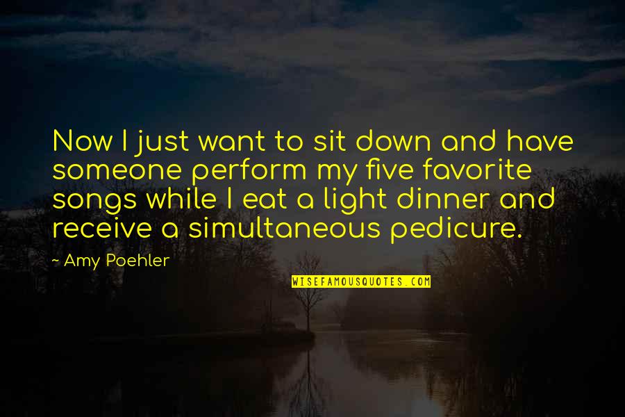 Sit A While Quotes By Amy Poehler: Now I just want to sit down and